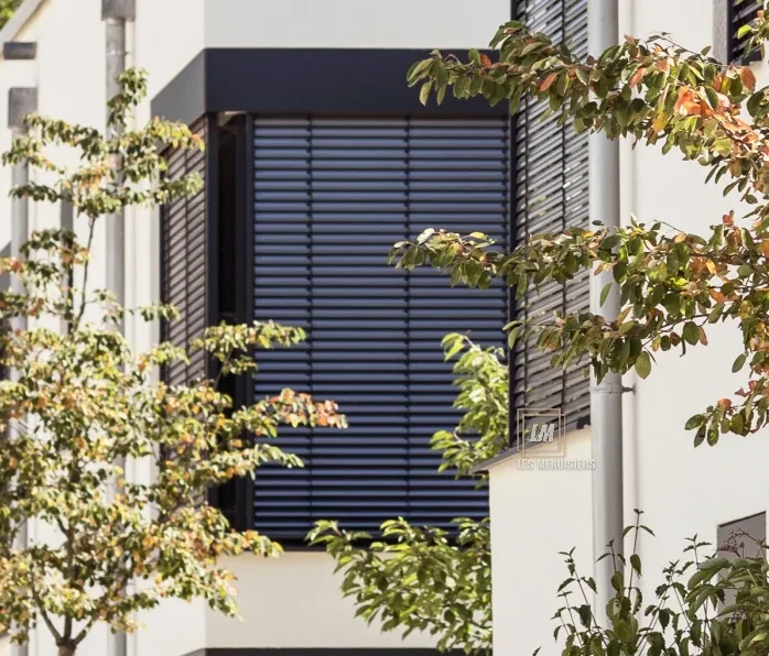 Brise-soleil orientable (BSO)